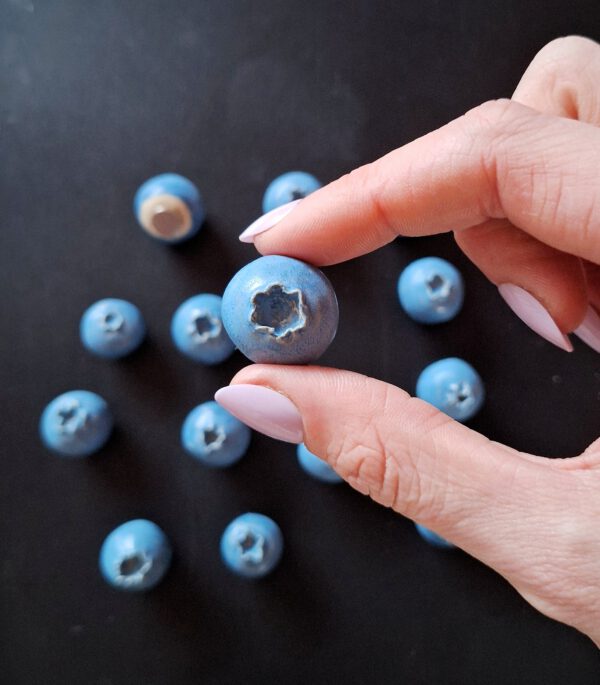 Blauwe bes magneten, set van 3